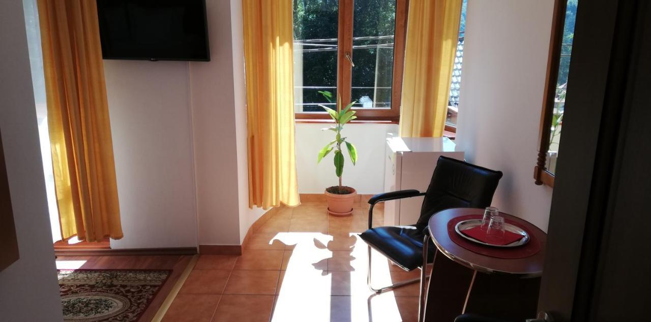 סינאיה Pension Casa Soarelui מראה חיצוני תמונה